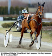 Tror Challe på. Victory Tilly och Stig H startar i Nationernas Pris på fredag.        Foto: Petri Johansson