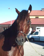 1994
