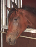 2001