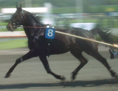 2004