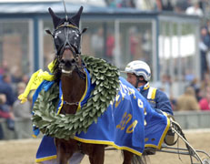 Yatzy Brodda, här med Jorma Kontio efter segern i Stoderbyt, får stallkamraten Scarlet Knight som första partner i aveln.Foto: Kanal 75
