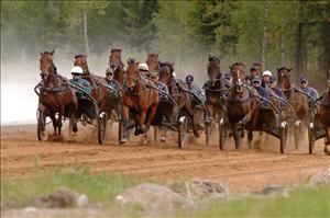 Det finns 271 000 hästar i Sverige. Åke Svanstedt tränar 171 av dem på sin gård i det hästrikaste länet, Västra Götaland. Foto: Thomas Blomqvist