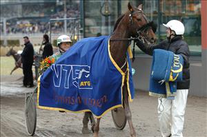 Margareta Svanstedt (hustru till Åke) tar emot sin skyddsling Indian Trail efter en imponerande seger i V75-1. Foto: Petri Johansson