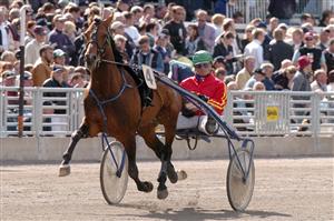 Daguet Rapide - hittar han formen till Elitloppet? Foto: Petri Johansson