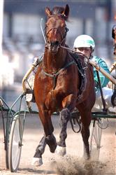 4356