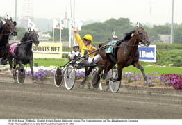 Ett magiskt ögonblick. Stefan Tarzan Melander och Scarlet Knight vinner Hambletonian Stakes, världens största treåringslopp. Foto: Thomas Blomqvist