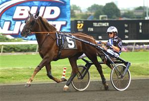 Som tvååring testades Order By Fax på Meadowlands. I höst kan det vara dags igen. Foto: Lars Jakobsson.