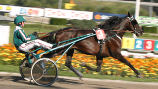 6371