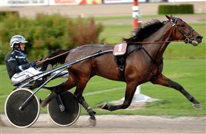 6455