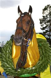 Victory Tilly har vunnit sin sista seger. Foto: Lars Jakobsson