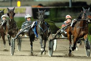 6592