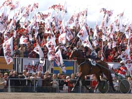 Det kan vara kul att vara delägare i Travkompaniet. Som här, när hundratals andelsägare intog Solvalla för att hälsa Calvin Capar välkommen till Elitloppet, 2004.