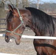 7072