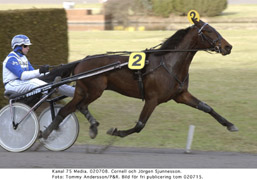 V64-tippade. Cornell och Jörgen Sjunnesson tillhör favoriterna i V64 avdelning 5, Ibrahim Paschas lopp.                           Foto: Tommy Andersson/P&R