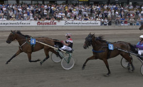 Pine Dust spurtar till enkel seger för Örjan Kihlström. Med till final från hennes försök gick också Men Greta Då.Foto: Claes Kärrstrand/P&R