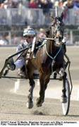 Siktar på Orsi Mangelli. Men  Stig H Johansson vill se motståndet innan han bestämmer sig med Sheridan Hanover.Foto: Thomas Blomqvist