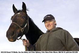 Trots att spelarna inte tror på Zsa Zsa Abbey så är Karlshamnsamatören Peter Sjöberg optimistisk inför helgens V75-tävlingar på Åby. 	Foto: Hans-Peter Bloom