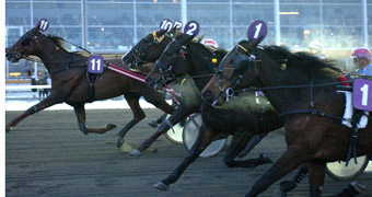Dancing Force och Peter Untersteiner sätter nosen först i tät slutstrid.Foto: Burt Seeger