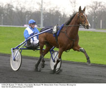 Världens bästa travsto. I september i Montreal besegrade Fan Idole självaste Varenne när hon vann Trot Mondial. Men hon nobbar liksom Insert Gede årets Elitlopp.    Foto: Thomas Blomqvist