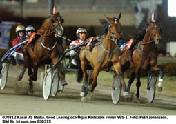 Good Leasing gjorde en strålande debut i regi Stig H Johansson. I sulkyn satt Örjan Kihlström.Foto: Petri Johansson