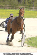 Väl förberedd. Victory Tilly knallade iväg i 1.16-fart över 2000 meter på Stora Albys träningsbana på måndagen. Stig H var nöjd med jobbet och ser fram emot årets Elitlopp.Foto: Thomas Blomqvist