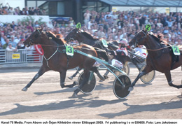 Blågult på samtliga pallplatser i Elitloppet. From Above vinner före Victory Tilly och Scarlet Knight.	Foto: Thomas Blomqvist