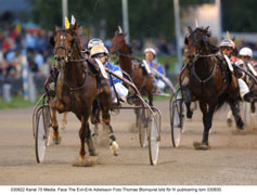 Snackhästen Order By Fax blev ordentligt avklädd i sin Sverige-debuten. Face The Evil krossade honom på några steg och vann enkelt Breeders Crown för tvååriga hingstar och valacker.Foto: Thomas Blomqvist