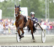 Revansch. Senast Victory Tilly besökteJägersro förlorade han i Hugo ÅbergsMemorial. Får han revansch på lördag? Foto:Lars Jakobsson/P&R