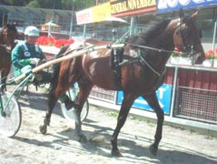 Hemlock inkvalad, nu väntar tävlingsdebuten.