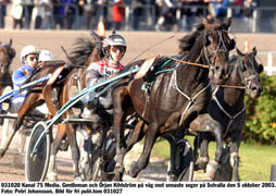 Gentleman och Örjan Kihlström på väg mot seger i senaste starten på Solvalla. På onsdag startar Gentleman i V65 tillsammans med Jörgen Sjunnesson.Foto: Petri Johansson.