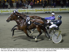 Mot kriterie-kvalen. Crown Sea och Stig HJohansson lyckas precis hålla undan förLindys Road och Jorma Kontio på Solvalla.Foto: Lars Jakobsson