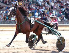 Kriteriefyran Shergar Boko drar sig tillbaka för i år med 406.000:- på kontot