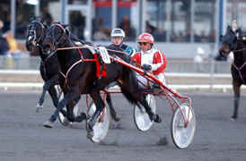 Förra helgen tog Patrik Andersson sin första V75-seger med en egentränad häst när han vann med Sandy Bore. Den här helgen är ekipaget favoriter på V65. 	Foto: Petri Johansson