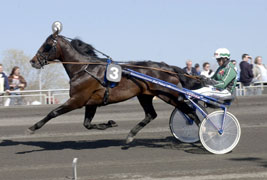 Gidde Palema gjorde en makalös comeback 2003.
