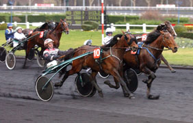 Naglo tvåa i målmen ändå segrare i Prix de BelgiqueNaglo och Örjan Kihlström var tvåa i mål i Prix de Belgique. Men 20 minuter efter loppet hade domarna flyttat ner ettan Kesaco Phedo till andraplatsen på grund av trängning och Naglo dömdes etta.	Foto: Thomas Blomqvist