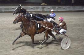Segerrikt ekipage. Brunton Tilly och Torbjörn Jansson vinner ofta. Brunton Tilly har åtta segrar på 14 starter, varav sju fullträffar med Torbjörn.                                          Foto: Lars Jakobsson
