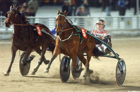Pine Dust var så bra som hon kan vara ibland när hon vann V65-1 för Örjan KihlströmFoto: Thomas Blomqvist