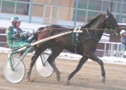 "Nykomlingen" Information Center här med Björn Magnusson på Solvalla