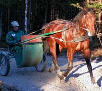 "Nykomlingen" Troy Boko med sin skötare Kenneth Haugstad i backjobb på Yttersta.