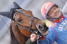 : Seth Amok och Torbjörn Jansson efter senaste segern på Solvalla. På onsdag kan det bli en repris. Foto: Lars Jakobsson.
