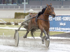Rotation visade upp sig på Solvalla på tisdagen. 1.10,0-travaren såg ut att trivas trots det besvärliga underlaget.	Foto: Thomas Blomqvist