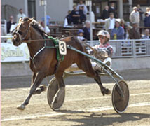 Hemlock i sin senaste seger på Solvalla