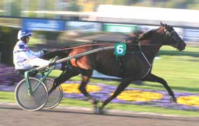 Sharky Boko och Jörgen Sjunnesson blir inte lätta att stoppa i V75-7.