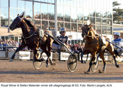 Oväntad vinnare. Royal Winner.Foto: Martin Langels