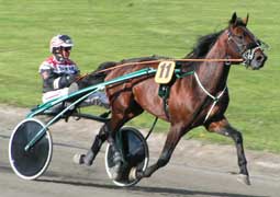 Hemlock startar med spår ett bakom bilen i V75-7. Denna gång tävlar han med ett helstängt huvudlag.