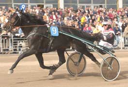 Tycoon Boko den andra av 2 vinnare under månaden i stall grön