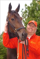 Roger Walmanns Giant Diablo utmanar om drottningkronan i svensk travsport. Foto: Lars Jakobsson