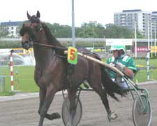 Stefan ska köra ett finslipande jobb med Naglo på Grosbois under måndagen.