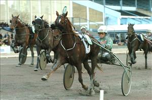 Indian Trail och Åke Svanstedt vinner enkelt den första avdelningen som storfavoriter. Foto: Lars Jakobsson.