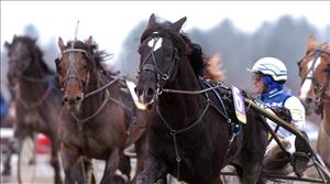 Moe Odin och Olle Goop vinner V75-5 efter tidig ledning. Foto: Lars Jakobsson